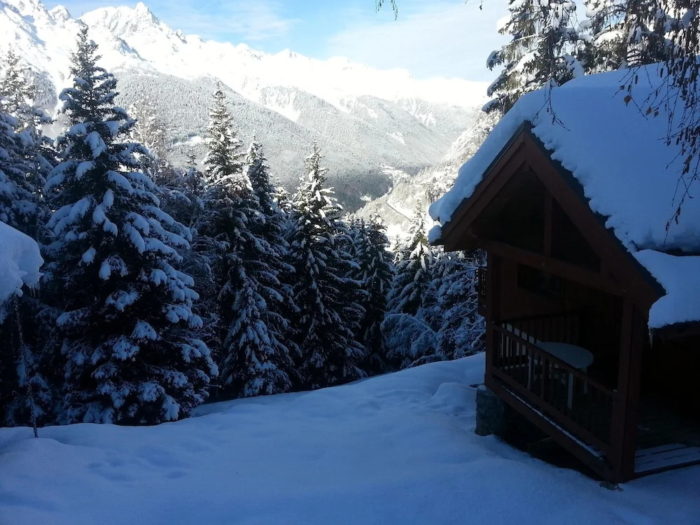 Mountain Chalet, hidden among the trees, with stunning views over lake