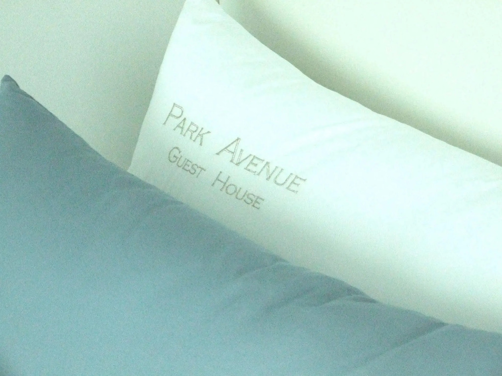 Park Avenue Guest house