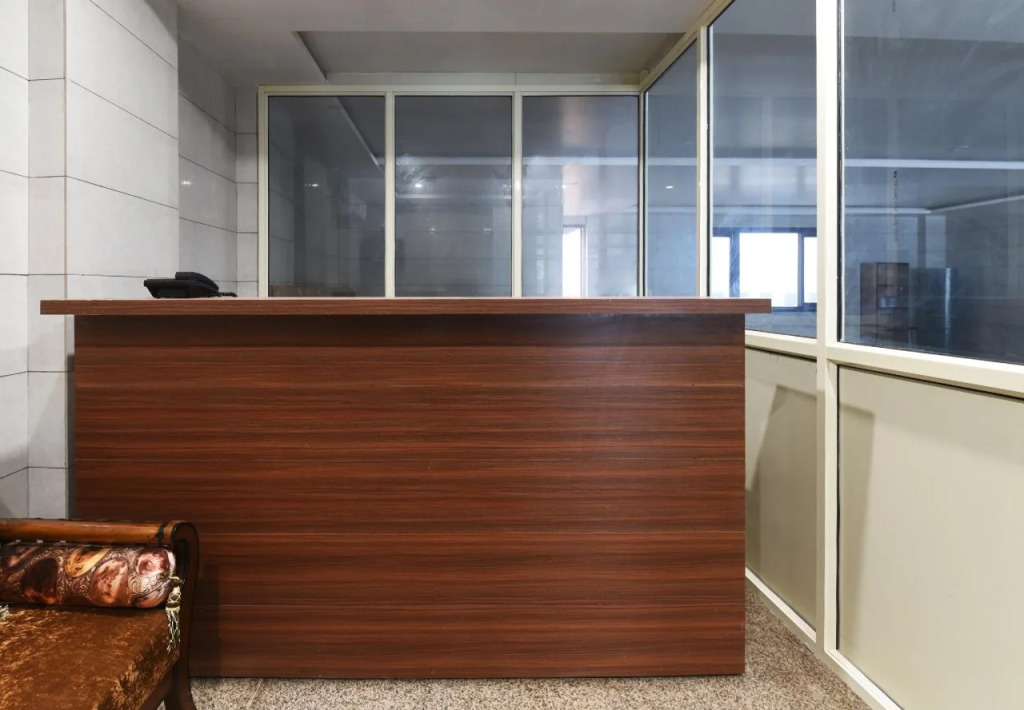 OYO 17336 Flagship Sector 23 Rohini