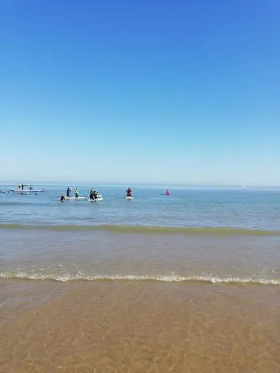 dreamingzeeland