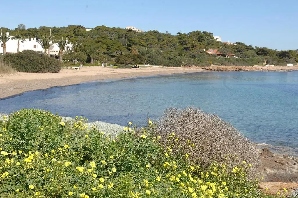 Sounio Golden View Villas