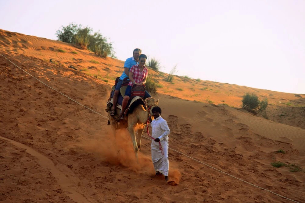 Bedouin Oasis Desert Camp- Ras Al Khaimah