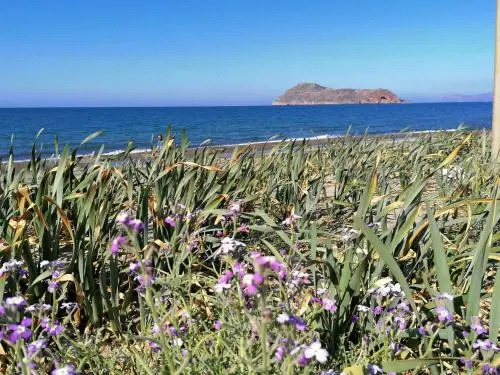 Mariliana