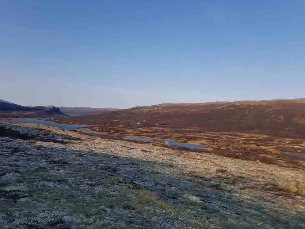 Live in the Realm of the Musk Oxen on Dovrefjell