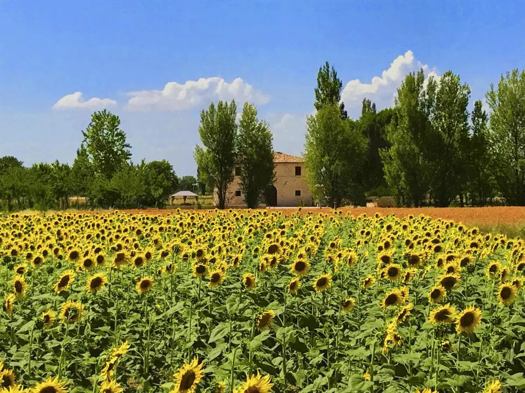 Villa Licinia