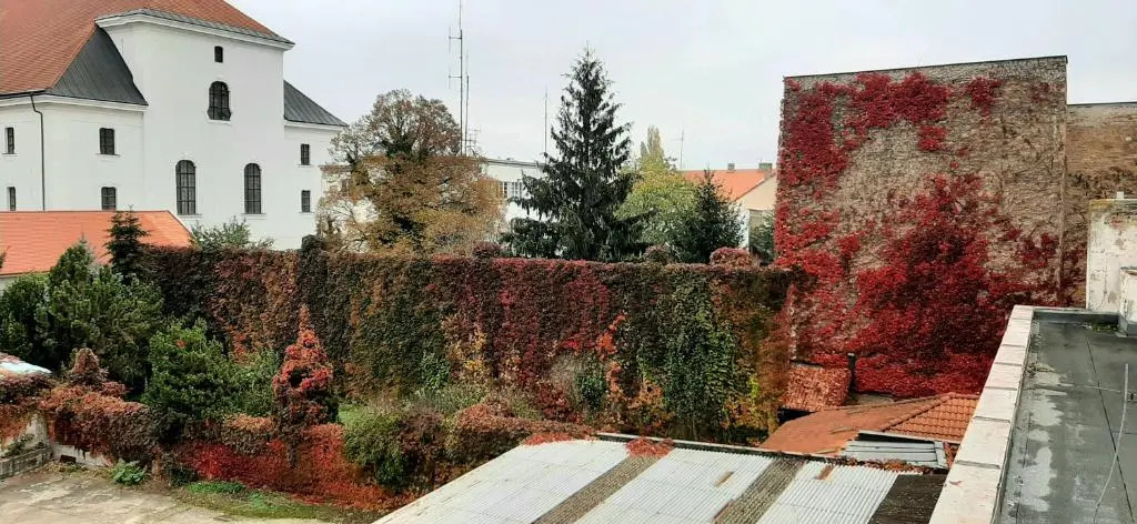 Hotel Litovel