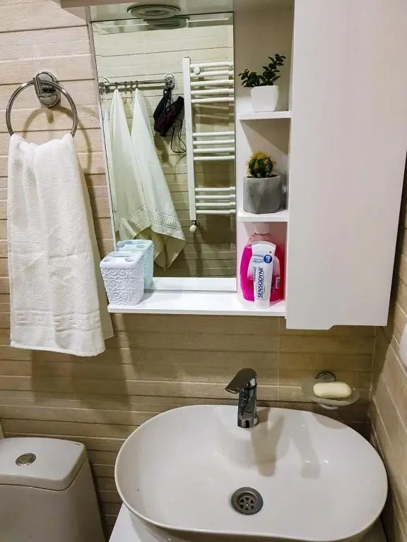 Apartment 315, Bakuriani