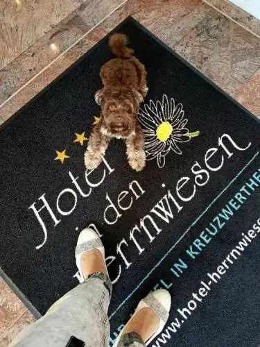 Hotel in den Herrnwiesen