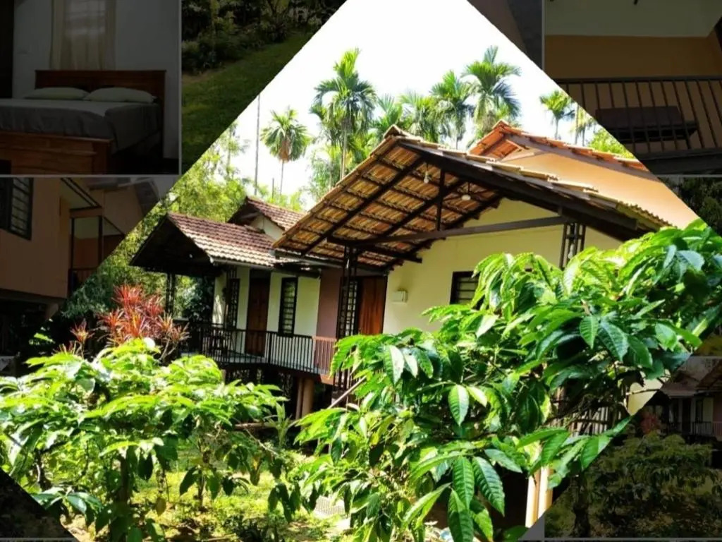 family huts