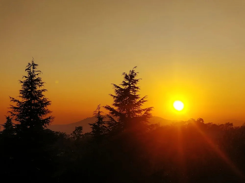 The Bunker Hostel - Dharamkot