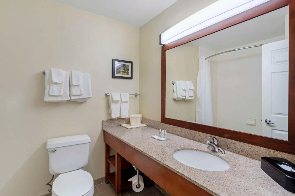 Comfort Suites Normal University area