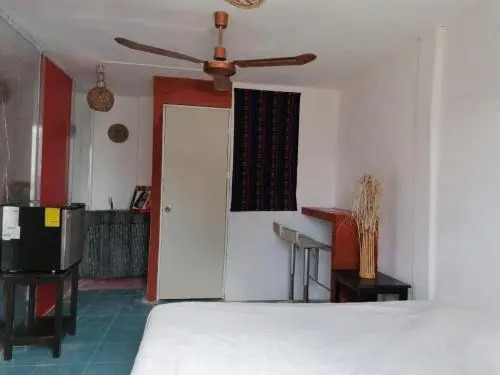 casa las palmas
