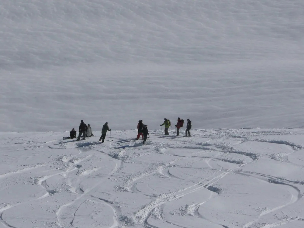 Chalet les Frasserands