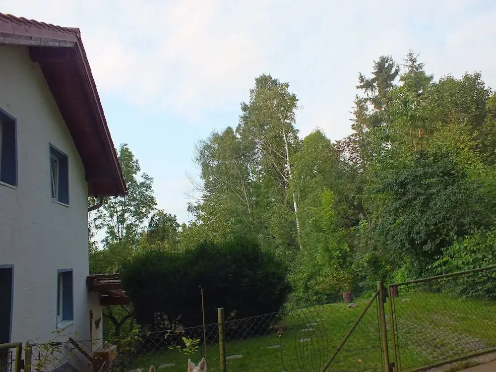 Ferienhaus Landau