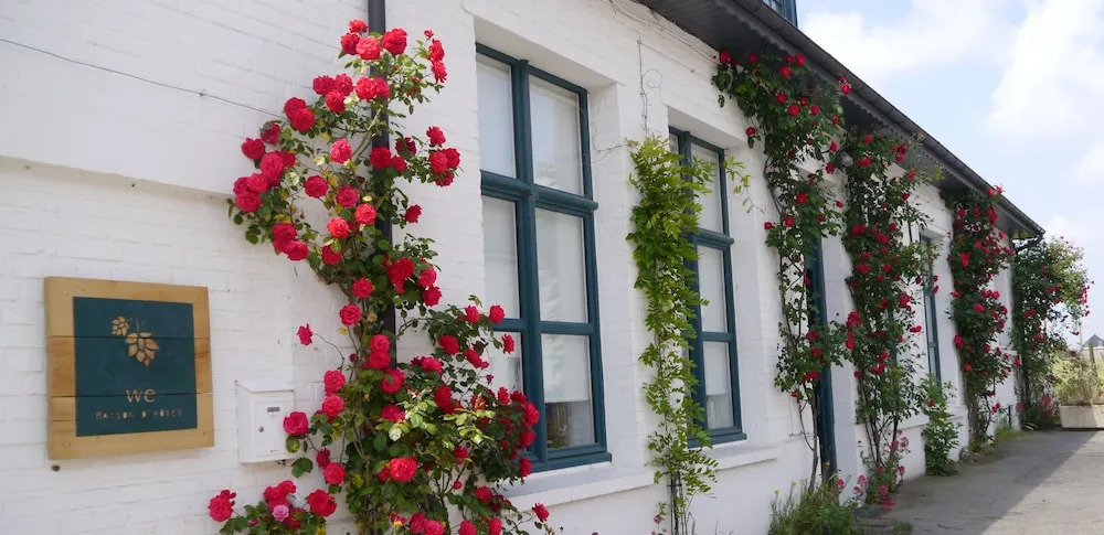 WE Maison dhôtes