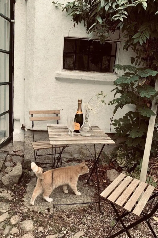 Bäddar & Ängar