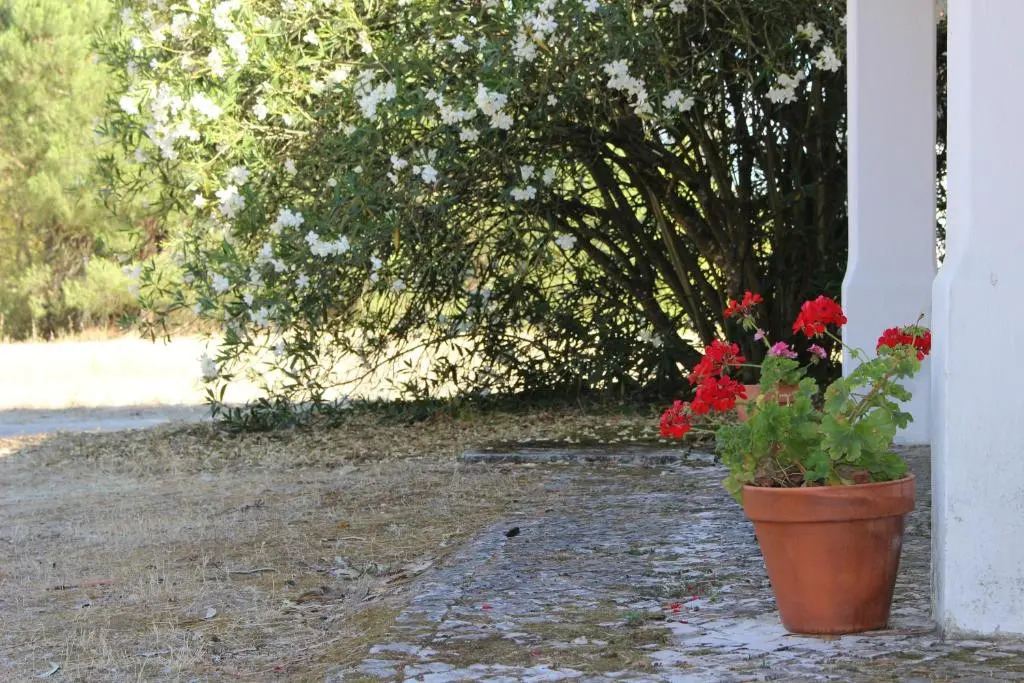 Quinta do Valle