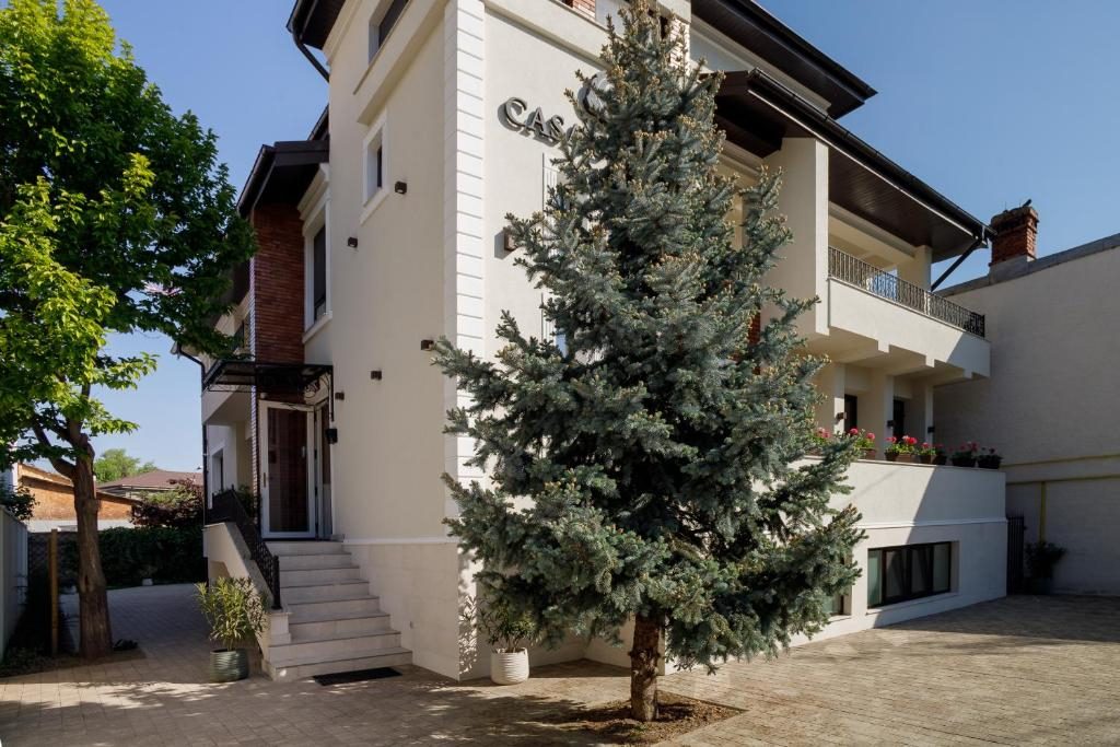 Pensiunea Casa Sturza