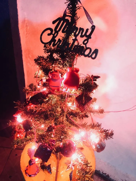 The Social Space