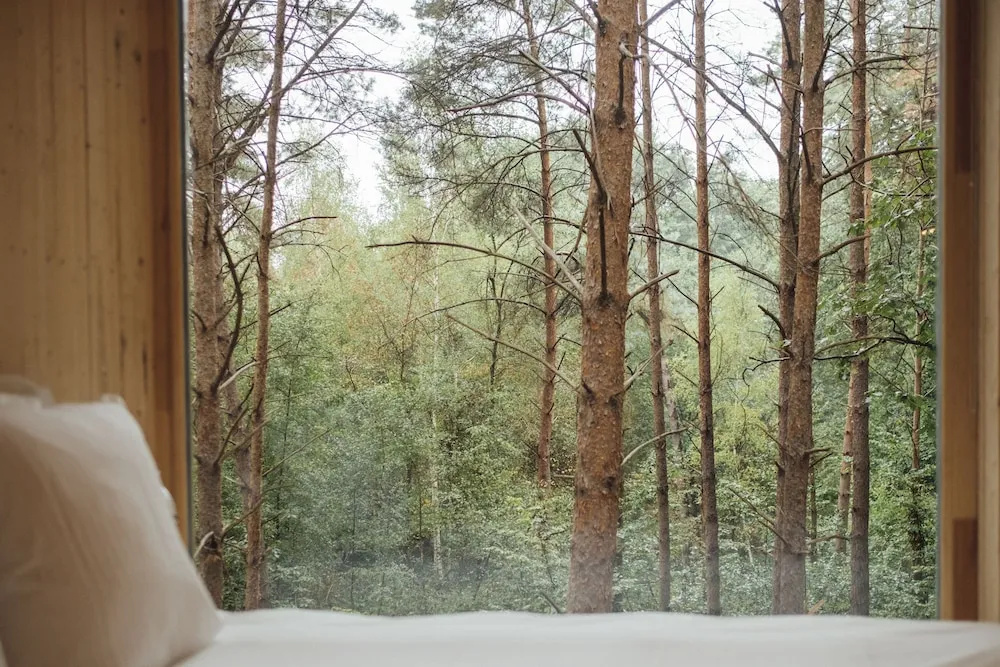 Youza ecolodge cabanes dans les arbres