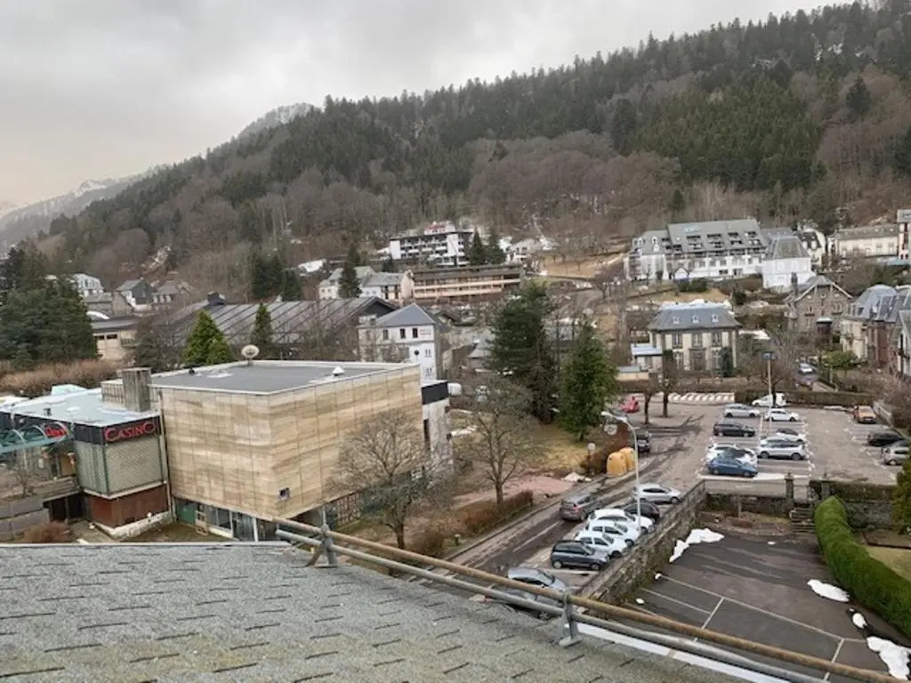 Appartement Mont-Dore, 2 pièces, 4 personnes - FR-1-415-109