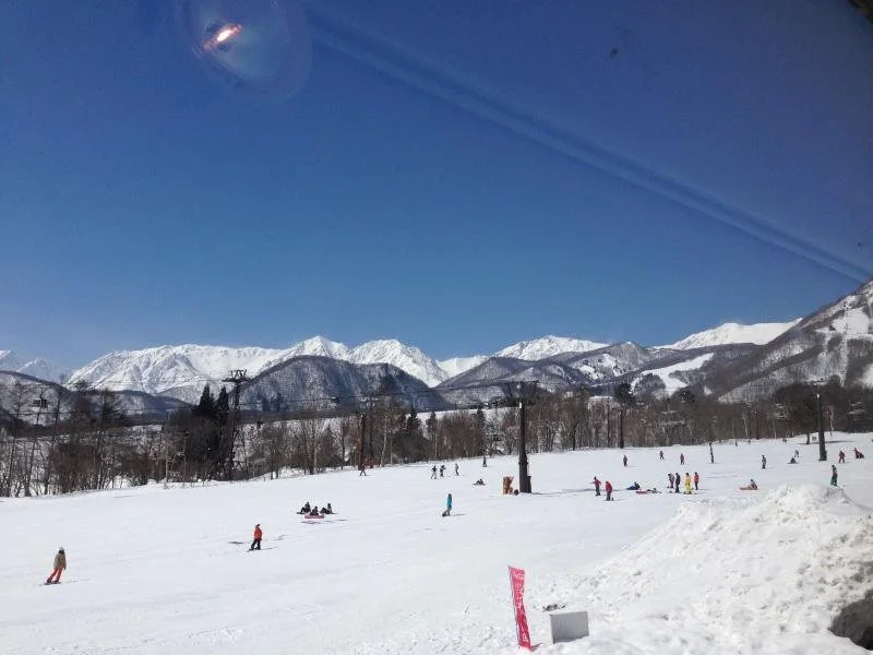 La Foret HAKUBA
