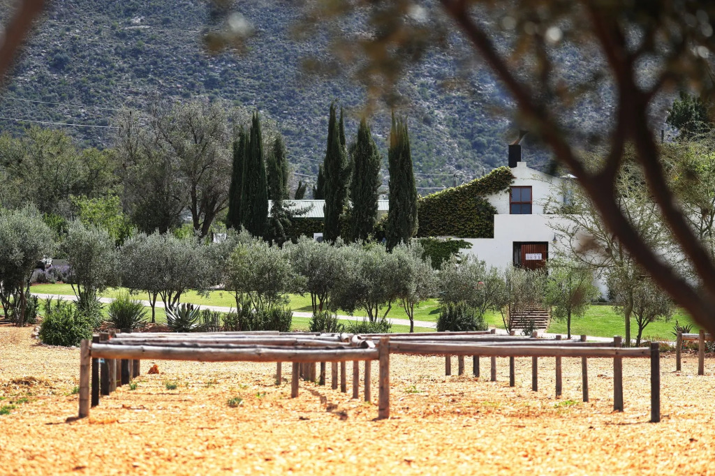Berluda Farmhouse and Cottages