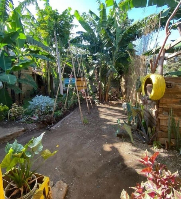 Banana shade hostel