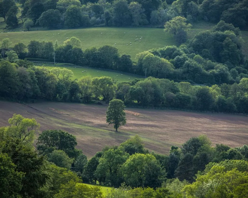 Hardwick Farm