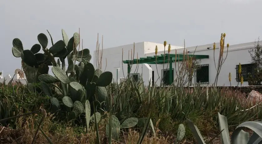 Lanzarote Nature