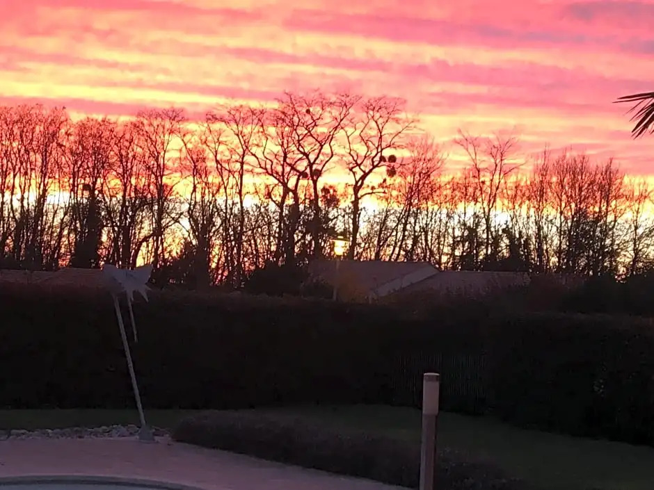 La Chambre des Amis