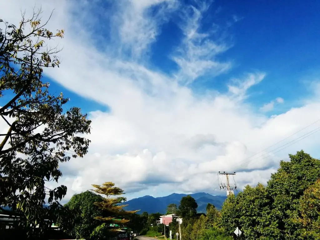 WildernessMountain View