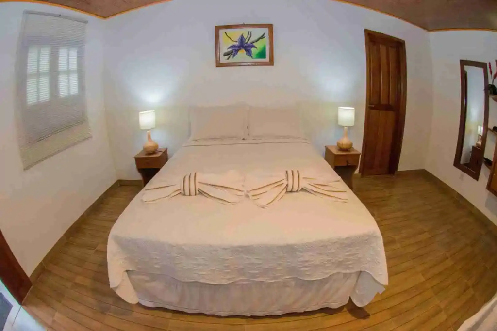 Evolução Ecolodge
