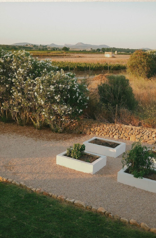 Vino Resort Son Amaret