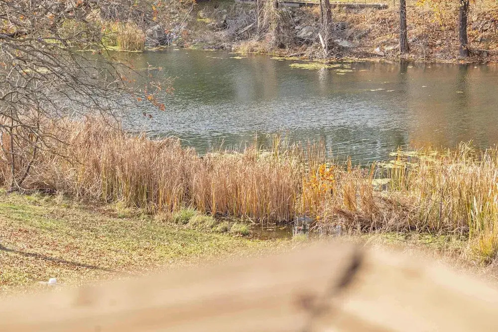 Escape to the Pond View Oasis - Resort Amenities