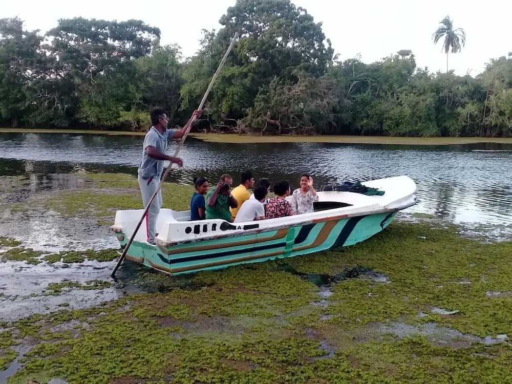 The Backwaters Lodge