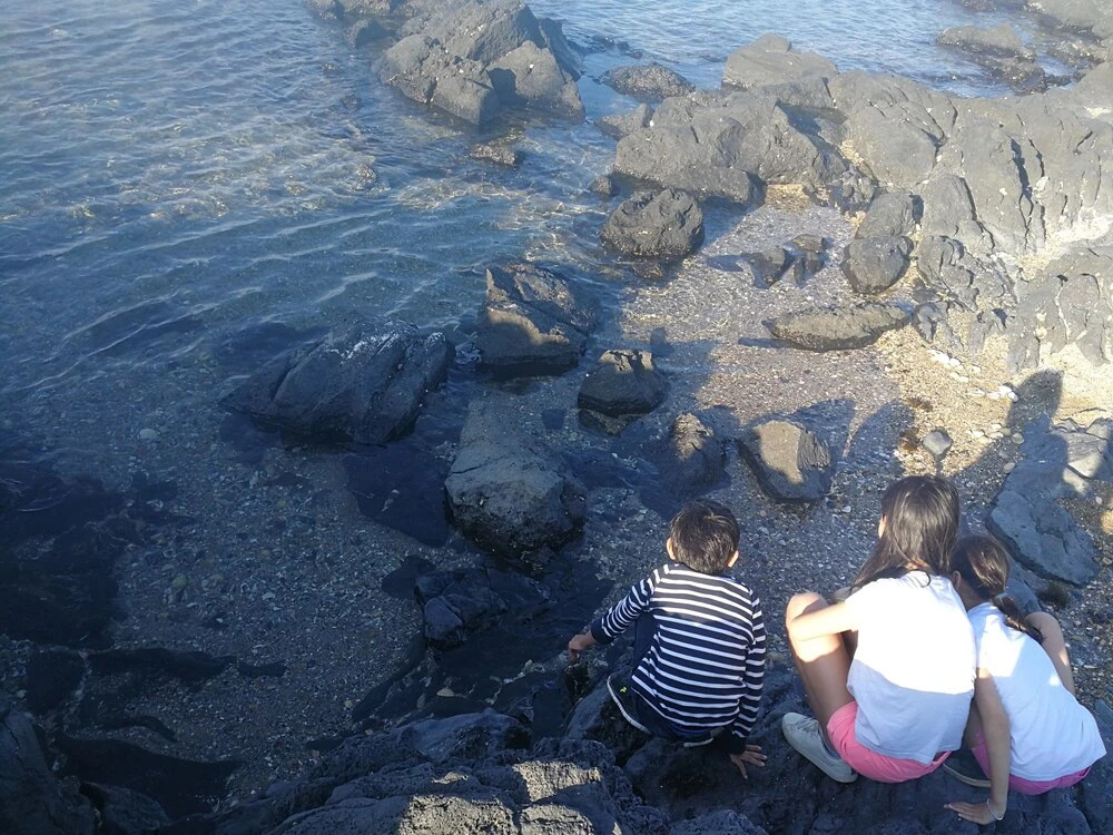 Cap Confort