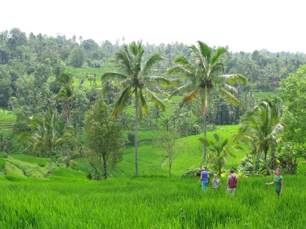 Prana Dewi Mountain Resort