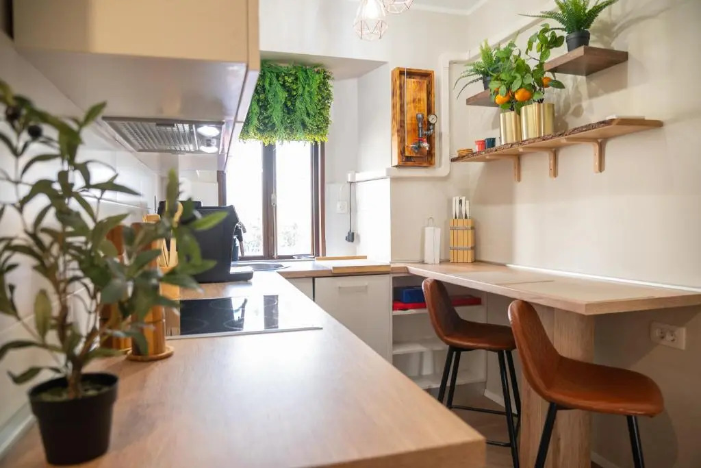 City Center Studio For Humans and Pets