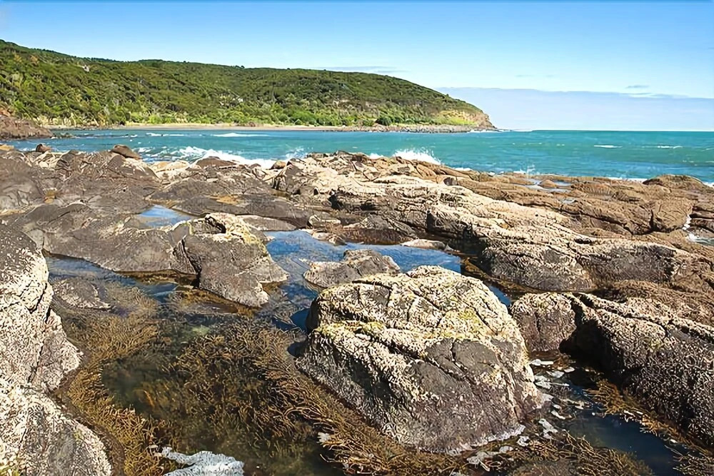 Waoku Lodge