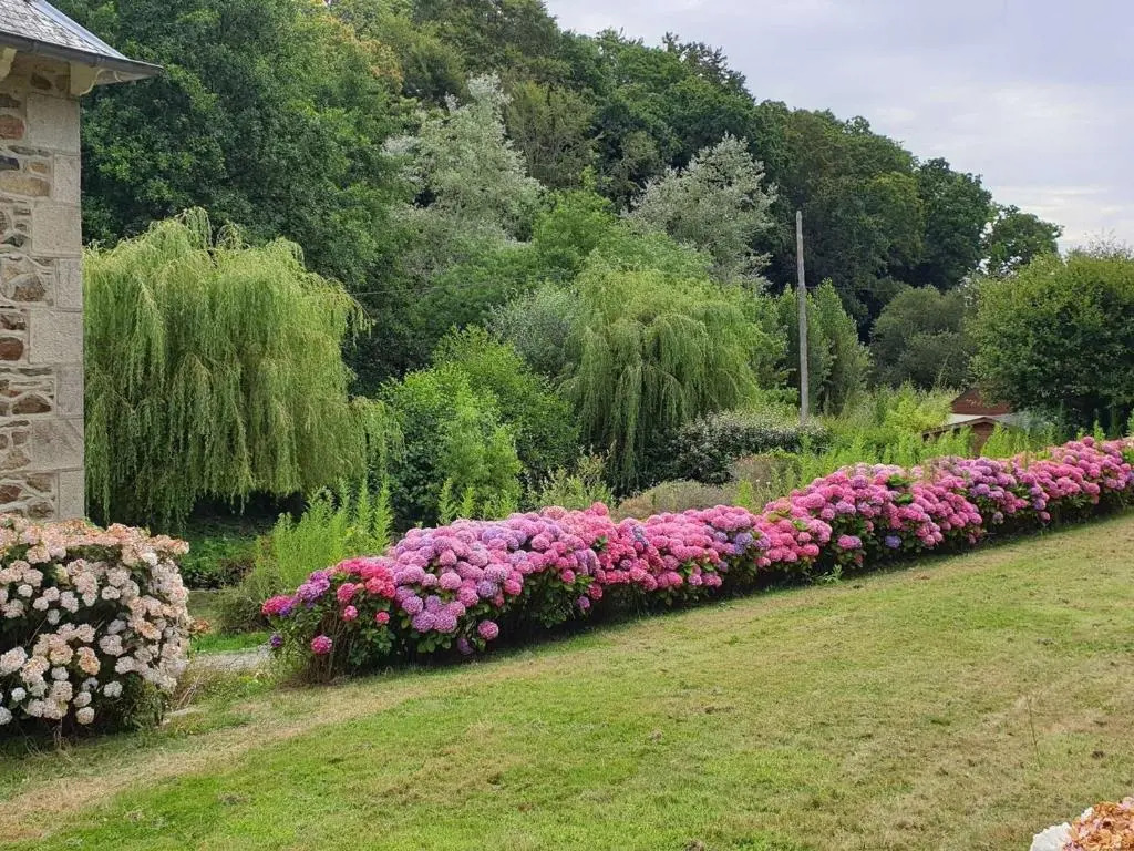 Maison rénovée pierre, jardin, WIFI, 400m mer, St Quay-Perros - FR-1-368-258