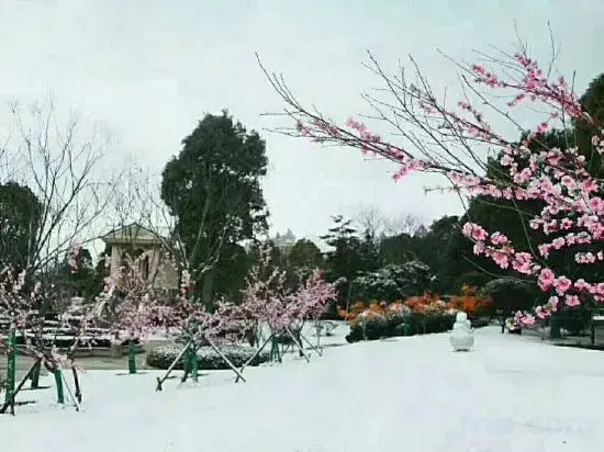 Qidong Warm House Apartment Hotel