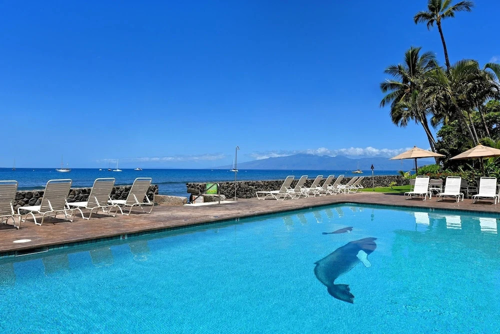 Lahaina Roads #205 1 Bedroom Condo by Redawning