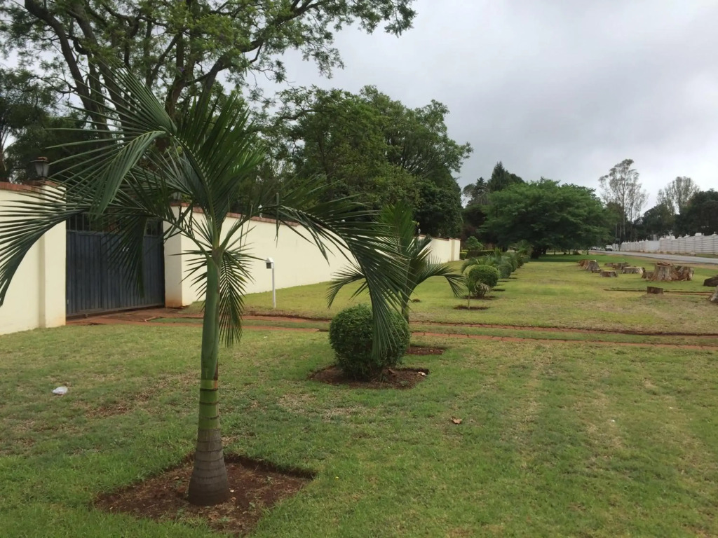 Palm villa