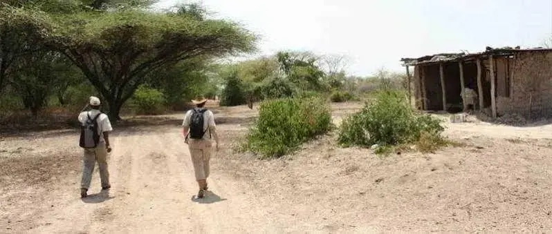 Tlou Safari Lodge