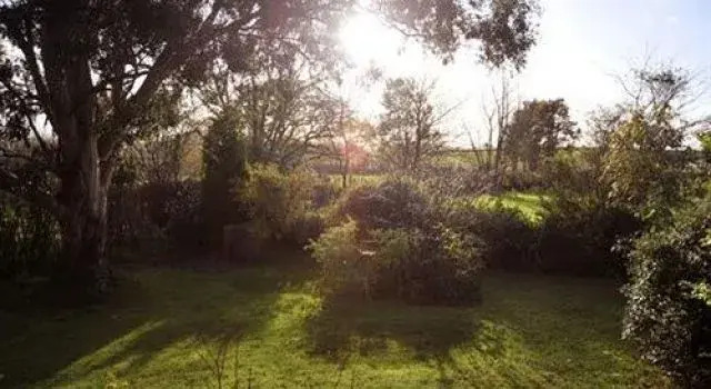 Dorset Farm