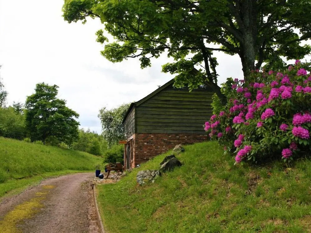 Kidcleugh Hide
