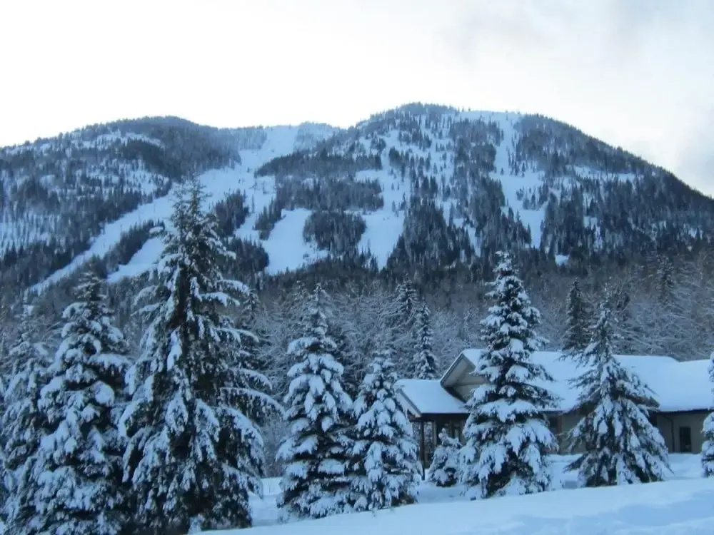 Mountain Town Properties Black Jack's Flat