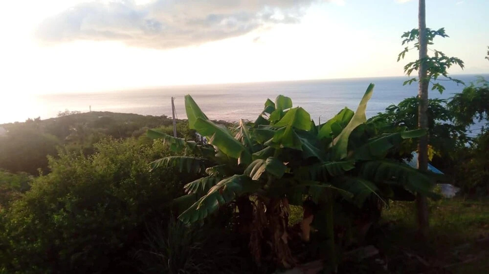 House With 2 Bedrooms in Deshaies, With Wonderful sea View and Terrace - 500 m From the Beach