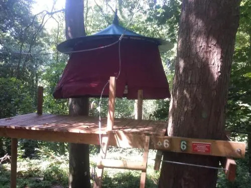 Woody Park